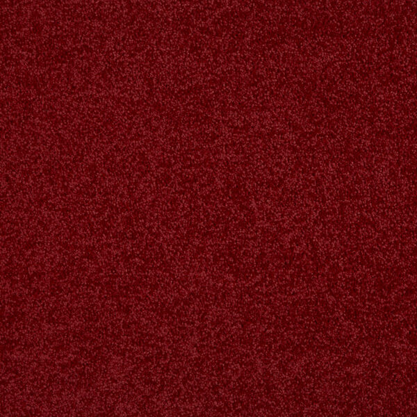 Mocheta Lounge SmartStrand Forever Clean 120 Coral