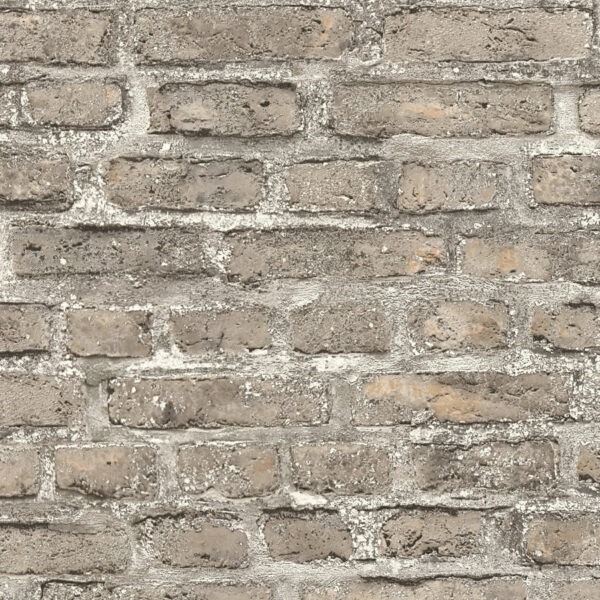 Tapet decorativ Elements cod AS361394