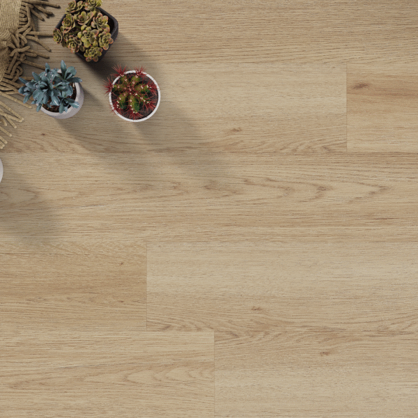 SPC Click  Amaron Wood Acoustic – YANKEE OAK – 6.3mm CAA 153