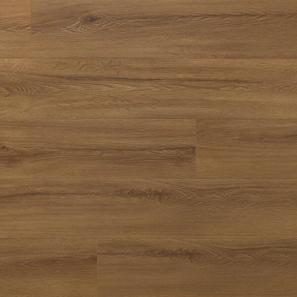 SPC Click Amaron Wood EIR Acoustic – ROCHESTER OAK – 6.3mm CASA 229 3